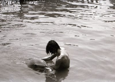 Dolphin Lover 10
