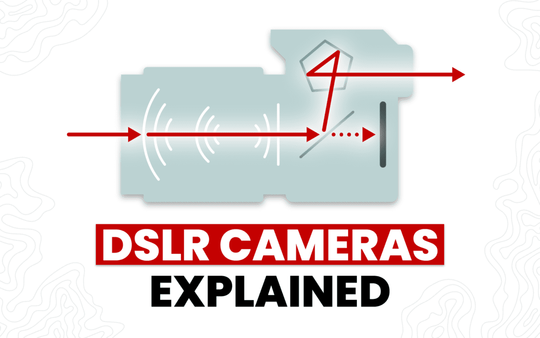 What is a DSLR Camera? The Beginner’s Guide