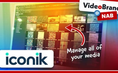 Iconik: The Solution for Managing and Sharing Your Media
