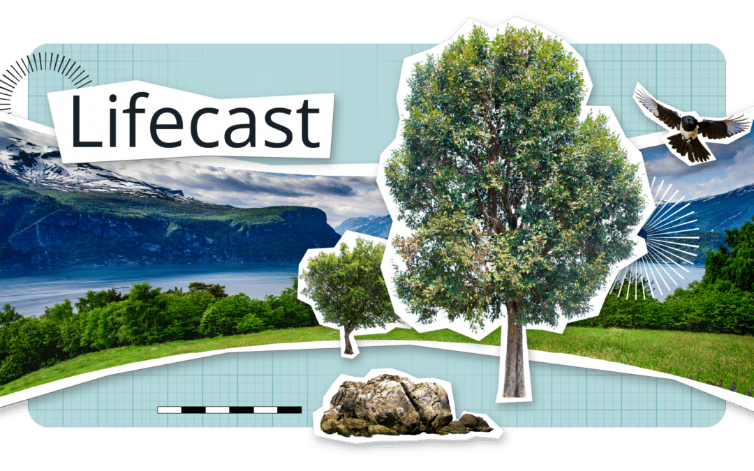 Redefining Reality: Lifecast’s Volumetric Video Editor and the Future of Content Creation